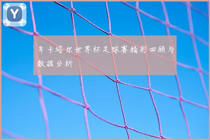 年卡塔尔世界杯足球赛精彩回顾与数据分析
