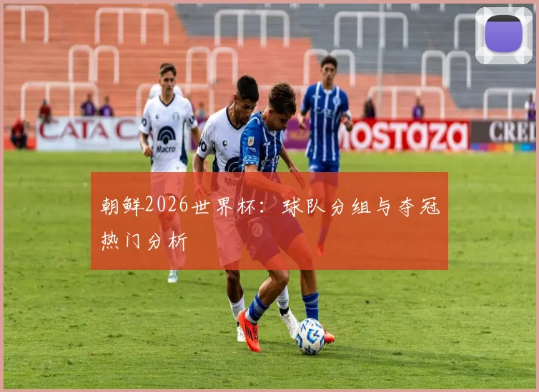 朝鲜2026世界杯：球队分组与夺冠热门分析