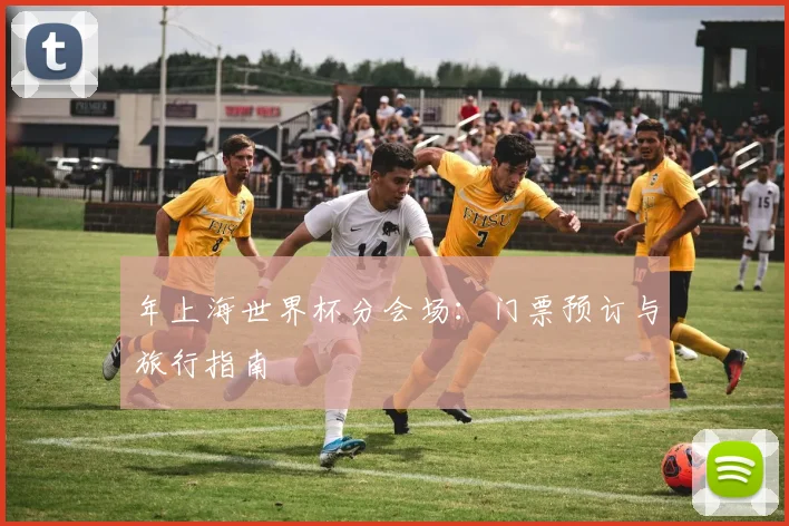 年上海世界杯分会场：门票预订与旅行指南